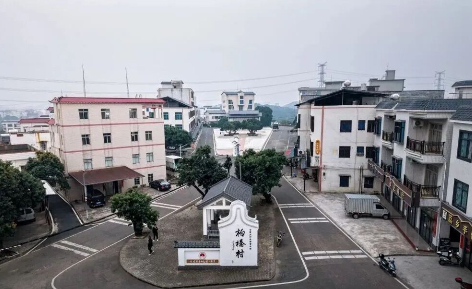 人民日报：这座没有围墙的“思政课堂”，引出茂名柏桥三年奋进之路