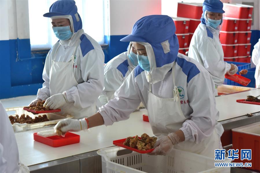 4黑龙江省明水县远行食品有限公司为当地学生制作营养午餐（9月2日摄）。新华社记者杨思琪摄.jpg