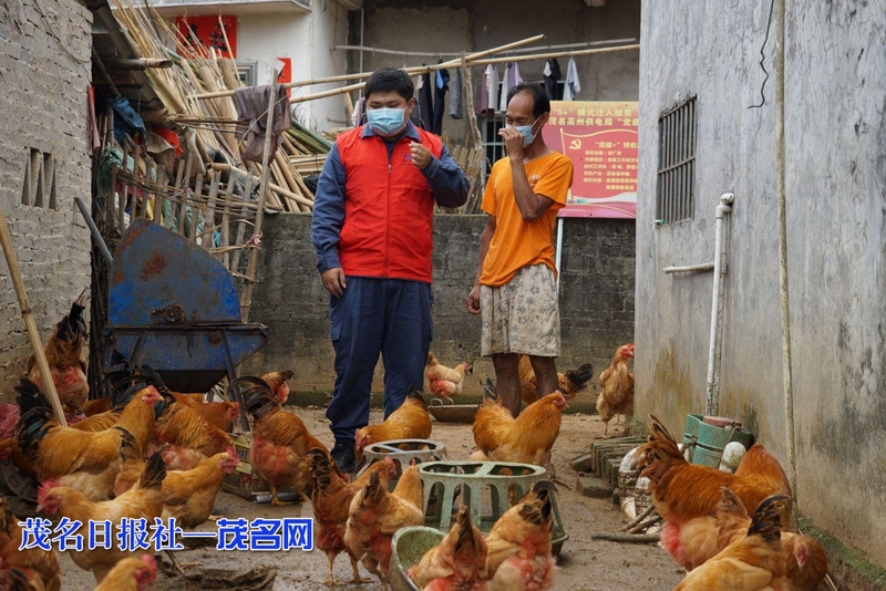 调整大小 3月21日，陈宇海鼓励贫困户坚持养鸡，并帮忙落实走地鸡的销售问题。周雅桑 摄.jpeg