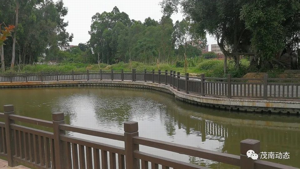 4鳌头镇文蓬村的一河两岸建设.jpg