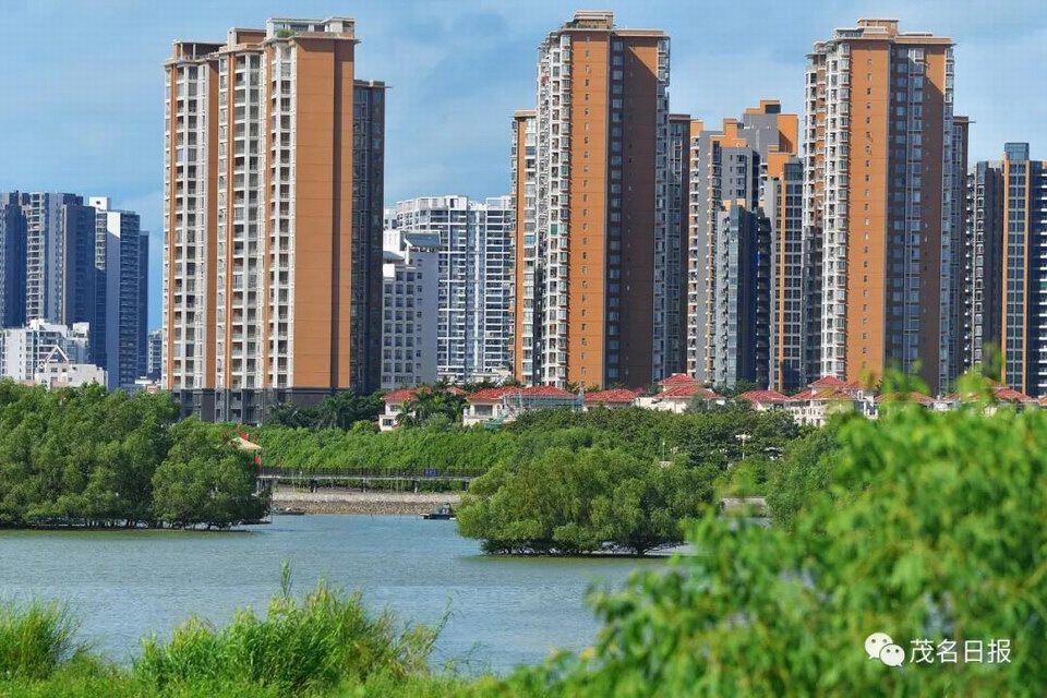 电白红树林5.jpg