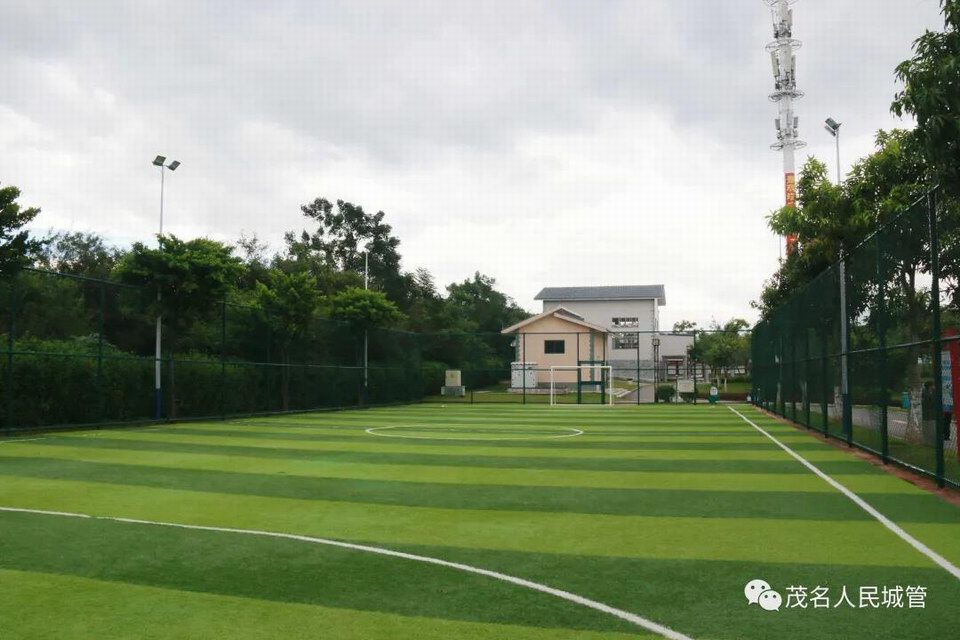 用心打造公园景色 扮靓文明城市窗口5.jpg