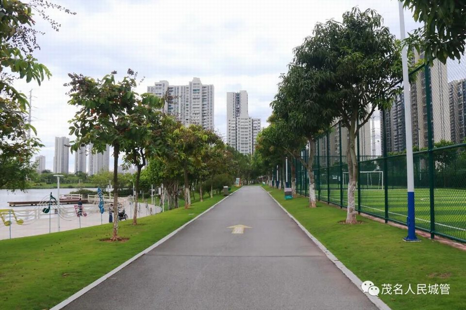 用心打造公园景色 扮靓文明城市窗口6.jpg