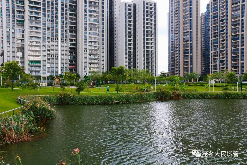 用心打造公园景色 扮靓文明城市窗口7.jpg