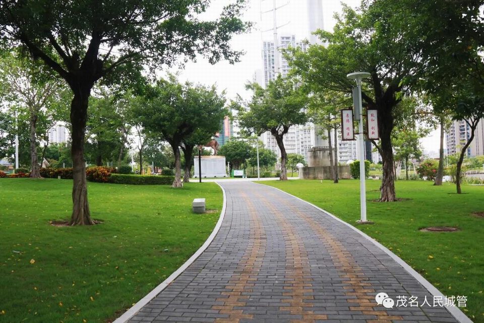 用心打造公园景色 扮靓文明城市窗口8.jpg