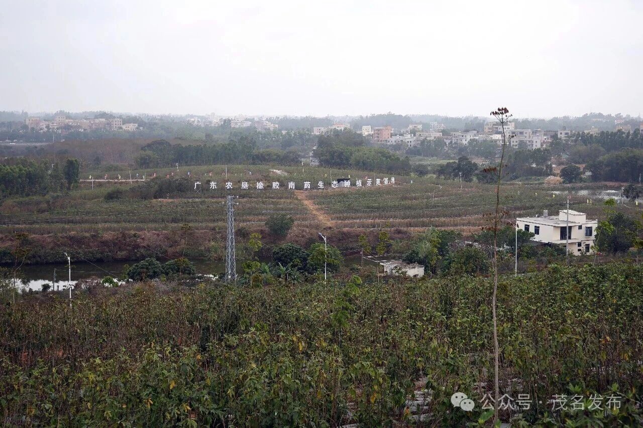 1772500795293028.jpg 微信图片_2026-03-03_093838_300.jpg