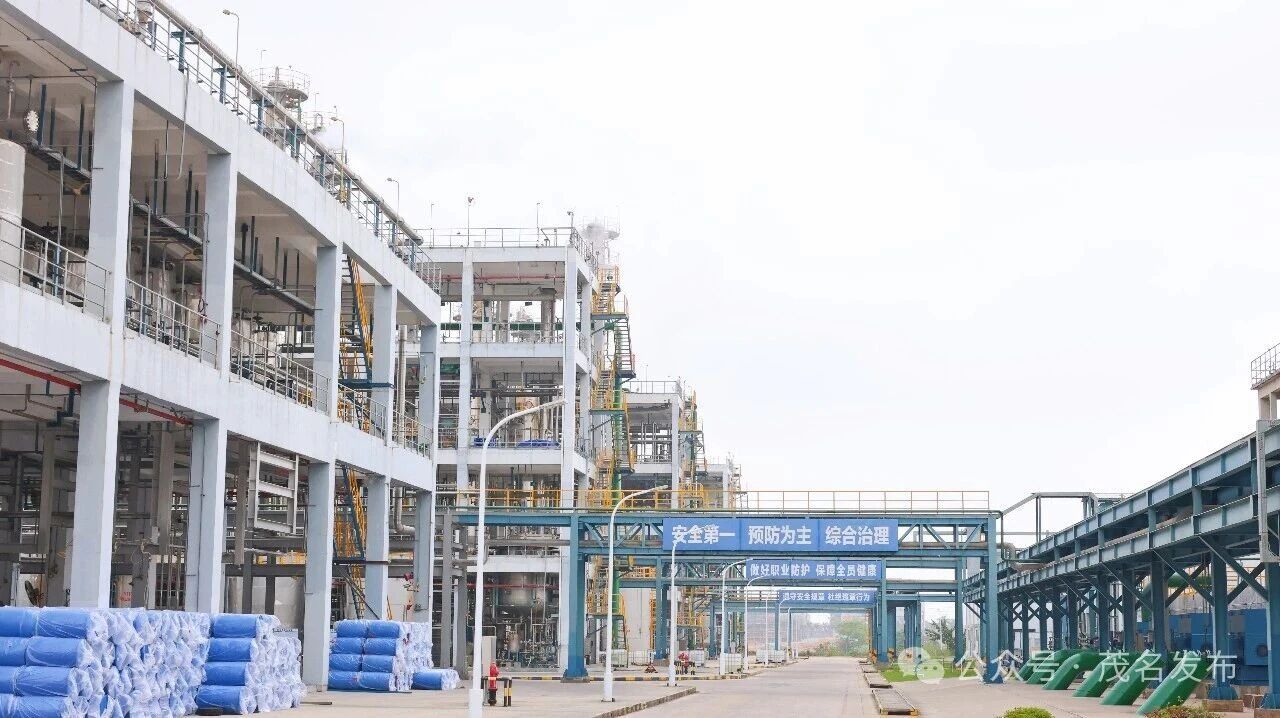 1772501013117141.jpg 微信图片_2026-03-03_094254_475.jpg