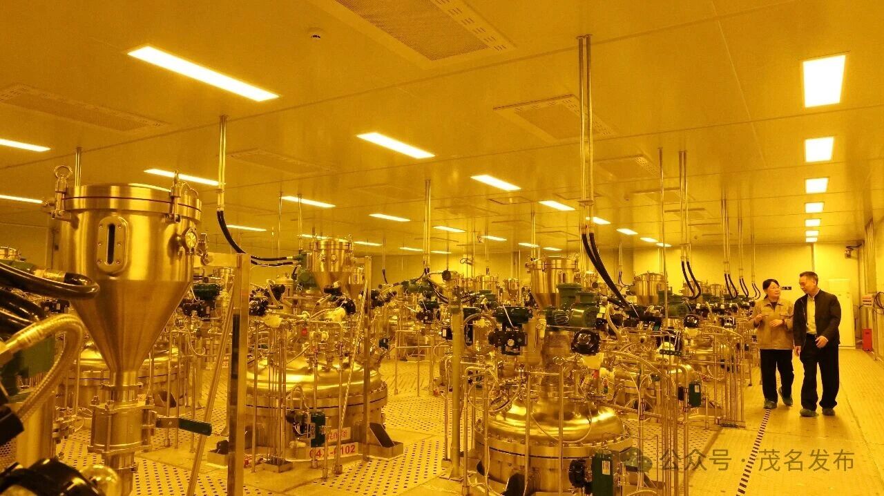 1772501022545465.jpg 微信图片_2026-03-03_094257_590.jpg