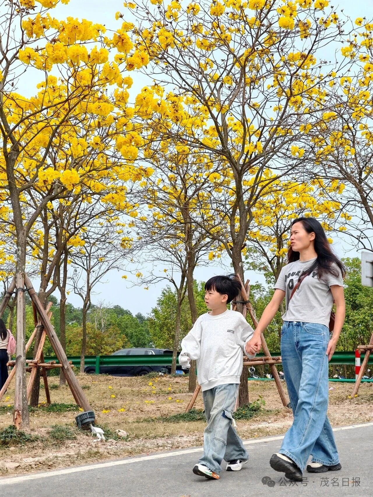 1772522337868511.jpg 微信图片_2026-03-03_153828_650.jpg