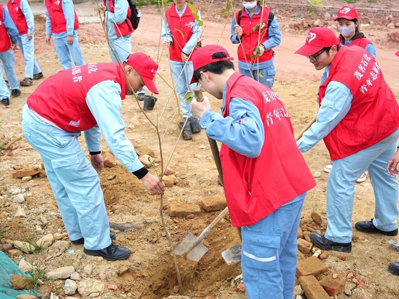 1773105437825296.jpg 34dec684eba008e2497a43f832fc0ebc.jpg