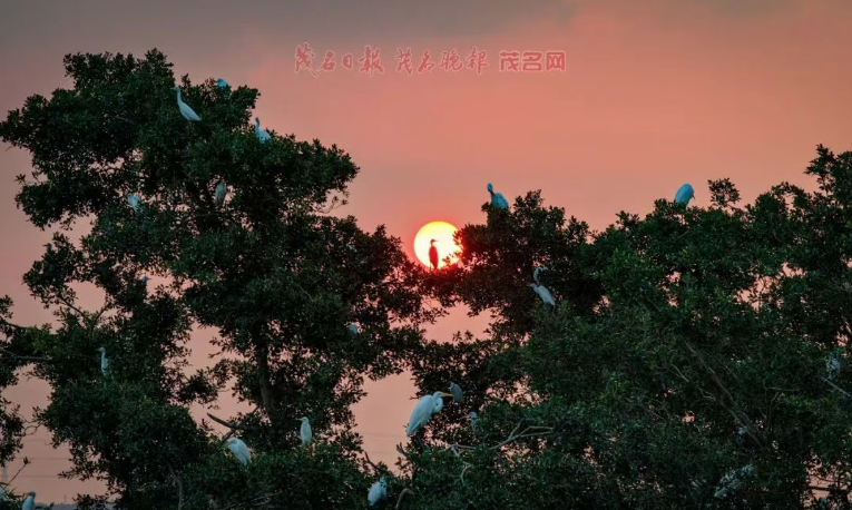 1792051581486343.png image.png