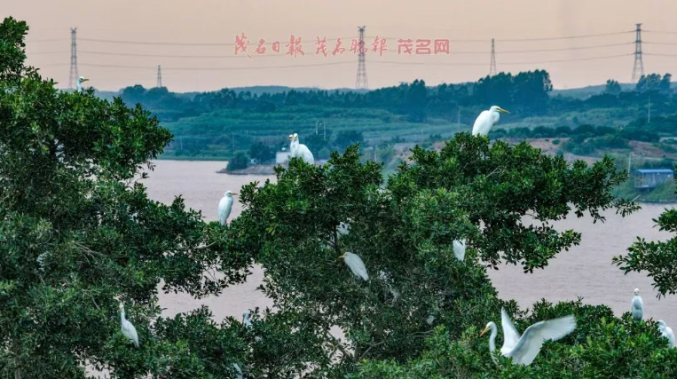 1792051599458581.png image.png