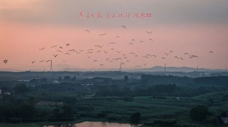 1792051672446531.png image.png