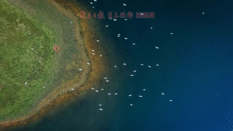 1792051705932043.png image.png